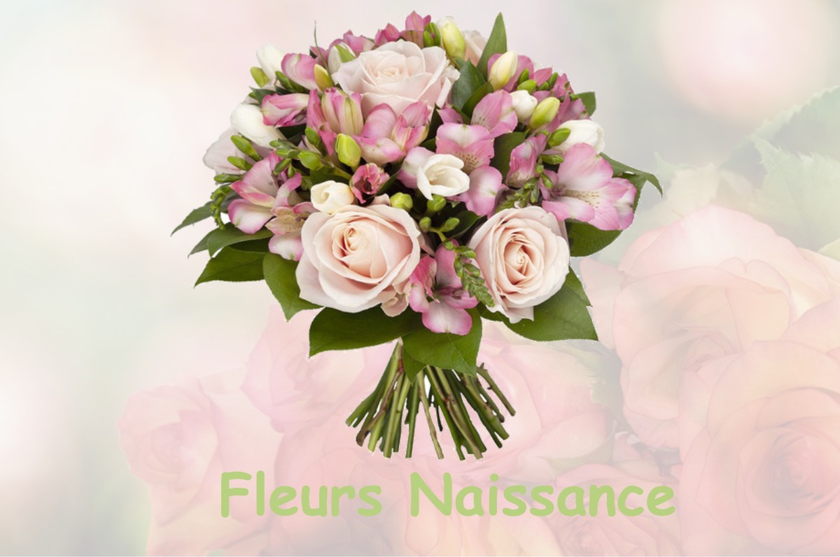 fleurs naissance FONBEAUZARD