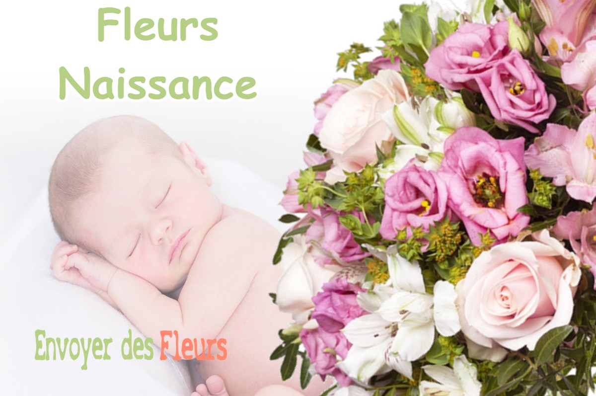 lIVRAISON FLEURS NAISSANCE à FONBEAUZARD